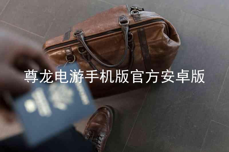 尊龙电游手机版官方安卓版